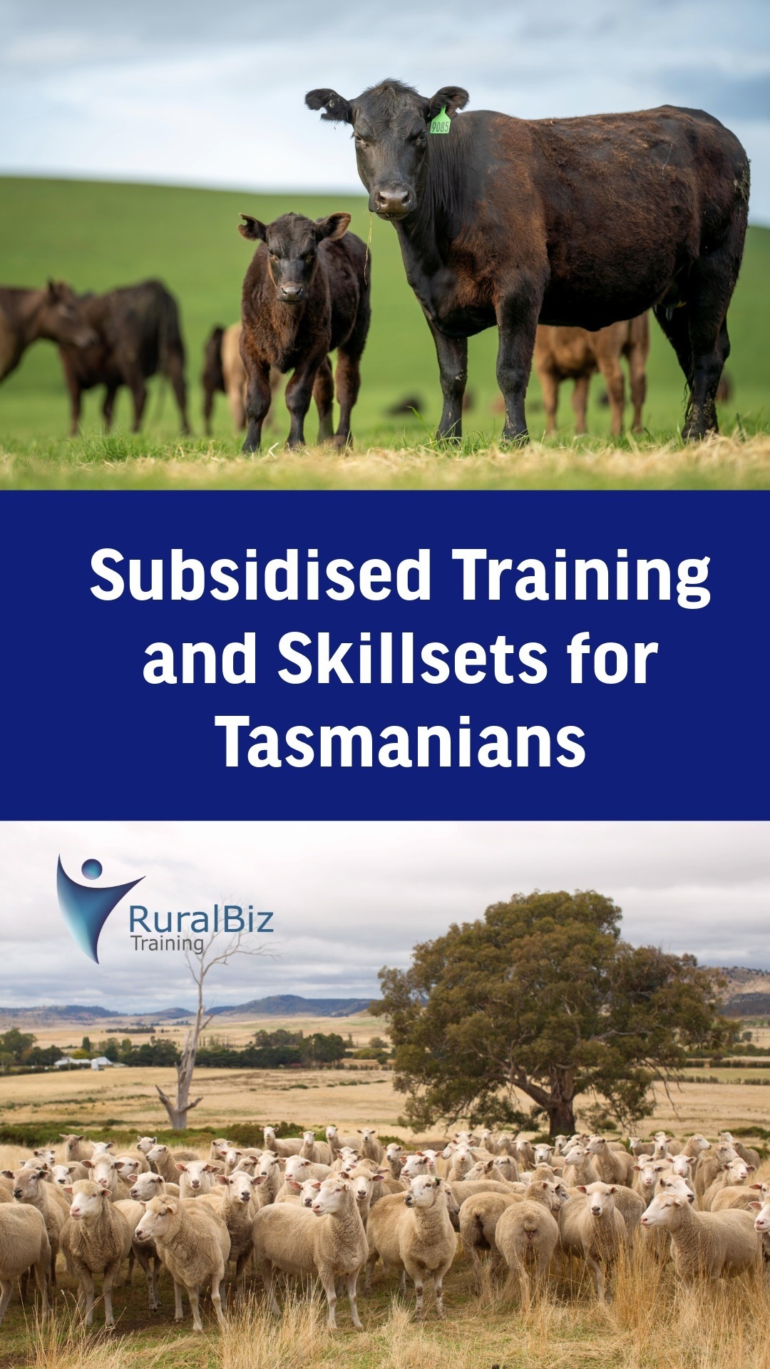 Subsidised Training and Skillsets for Tasmanians